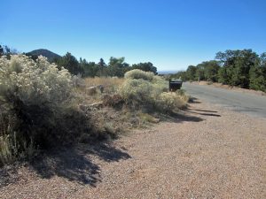 path 4